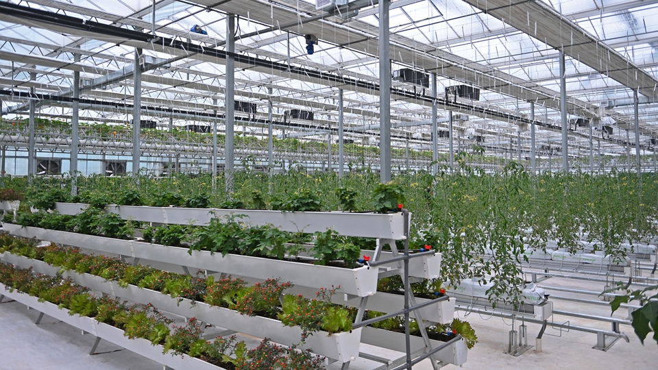 浙江衢州：科技創新助力農業高質量發展