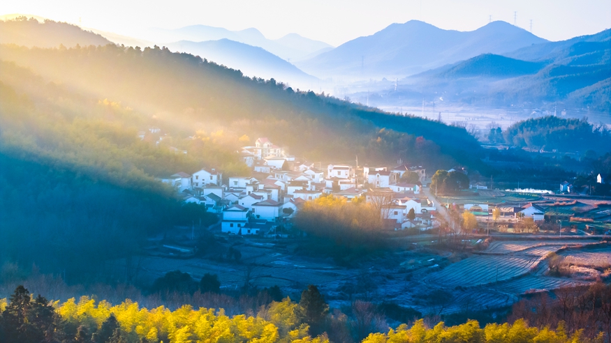 金句海報｜總書記的這些話暖心鼓勁