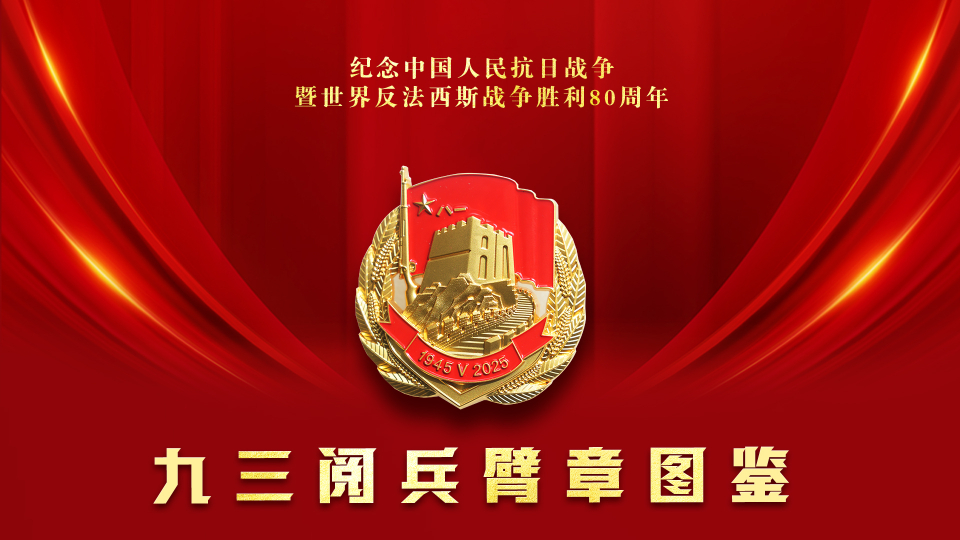 請收藏！九三閱兵臂章圖鑒