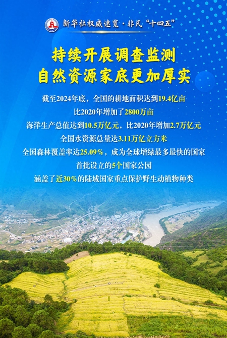 當好自然資源“大管家”美麗中國“守護者”，他們這樣干！