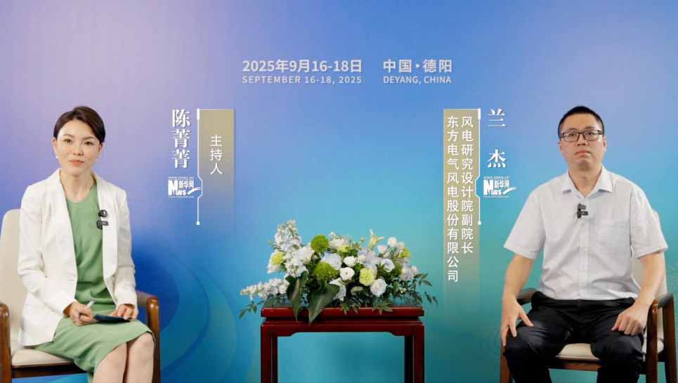 蘭杰：中國的海上風電已處于全球領先