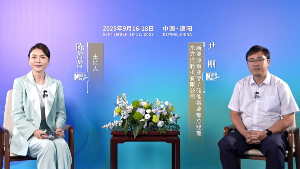 尹剛：以“風光”為主的新能源發展要依托儲能去提高消納能力和收益空間