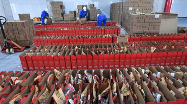 春節期間能源和民生商品保供穩價形勢如何？