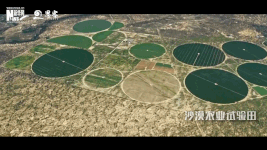 衛星見證，荒漠變綠洲