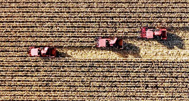 非凡十年｜吉林：加快推動全面振興、全方位振興