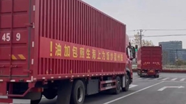 那只“跳進”愛心蔬菜包的手機咋樣啦？請聽刷屏“奇遇”后續……