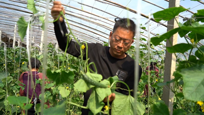 點亮自強自立“心燈”！聽聽這些殘疾人的創業就業故事