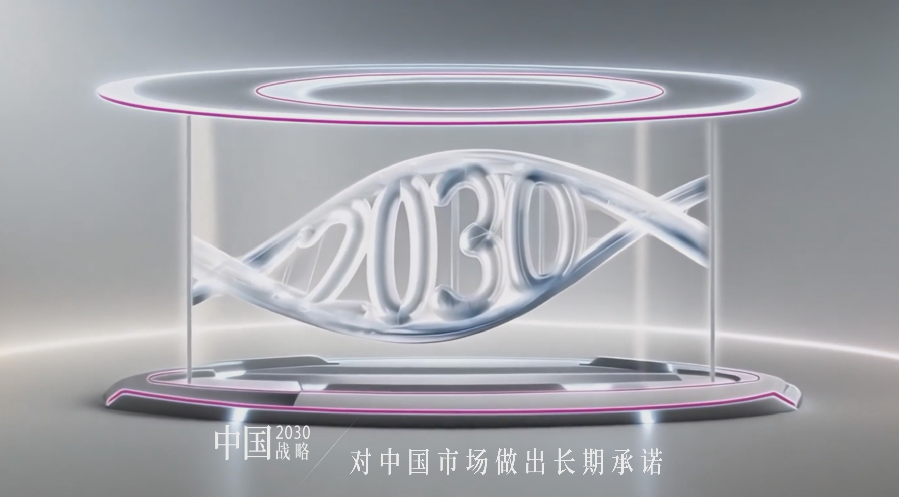 公司?中國2030戰略? 介紹