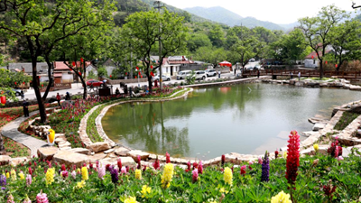 休閑、教育、養老……“三農”變化之農業新功能