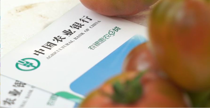 金融活水潤“三農” 消費熱潮促振興
