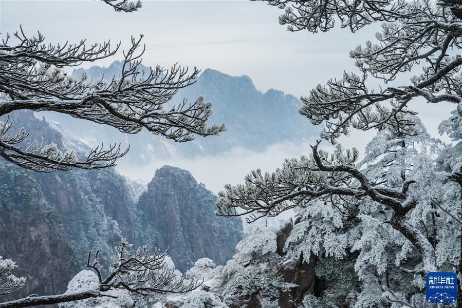 #（鏡觀中國·新華社國內新聞照片一周精選）（1）黃山初春霧凇美