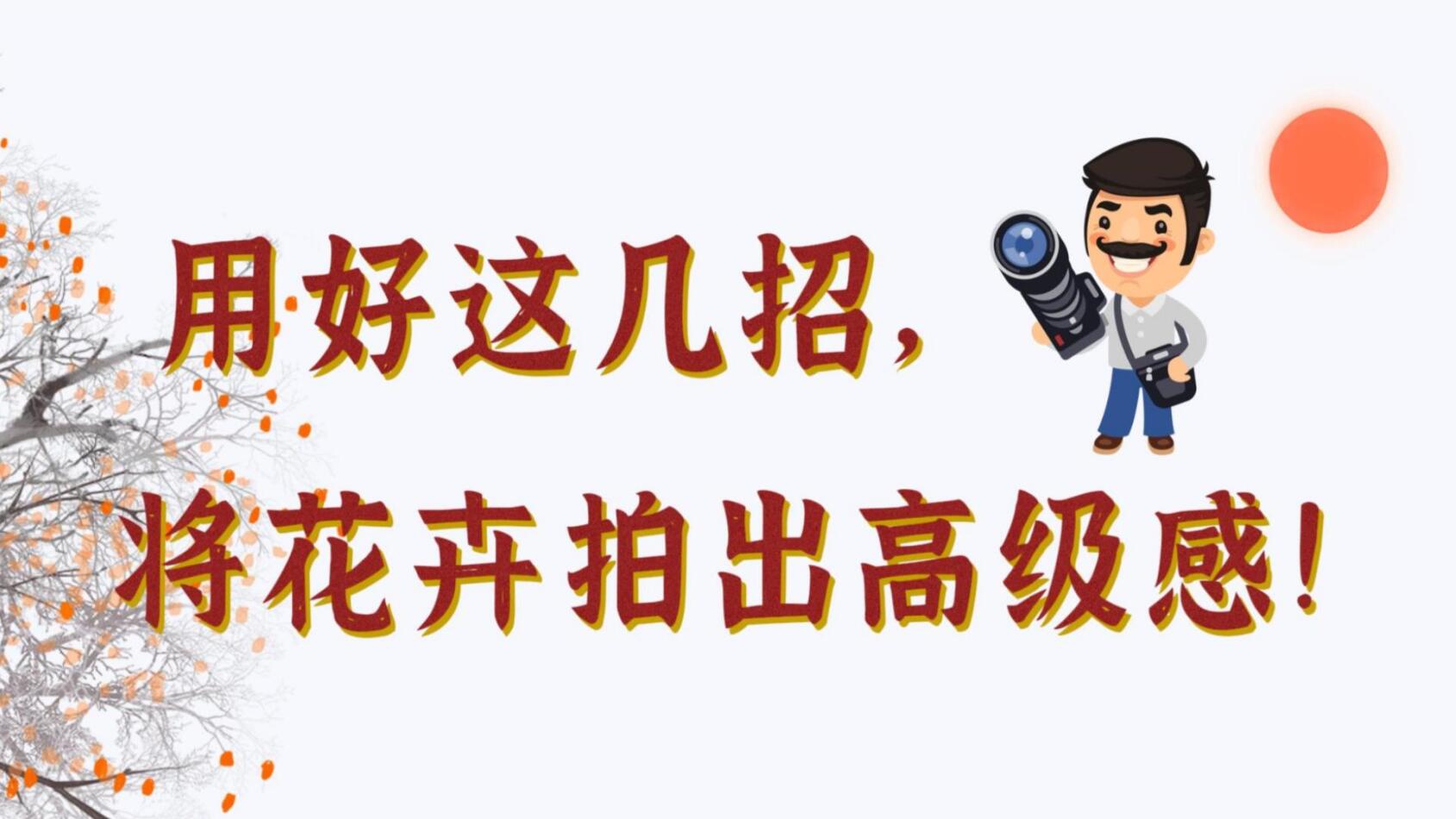 【光影輕課堂】用好這幾招，將花卉拍出高級感！