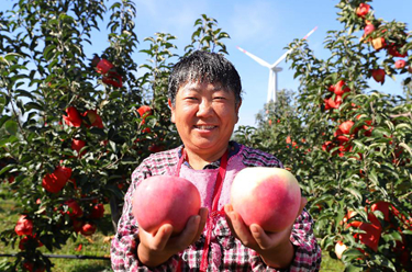 新華全媒+丨糧果豐收在望，農民喜上心頭