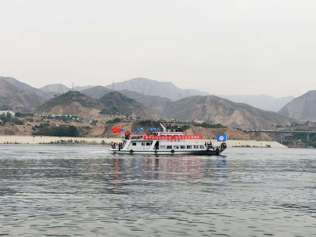 甘肅向劉家峽庫區放流鰱魚、鳙魚200萬尾