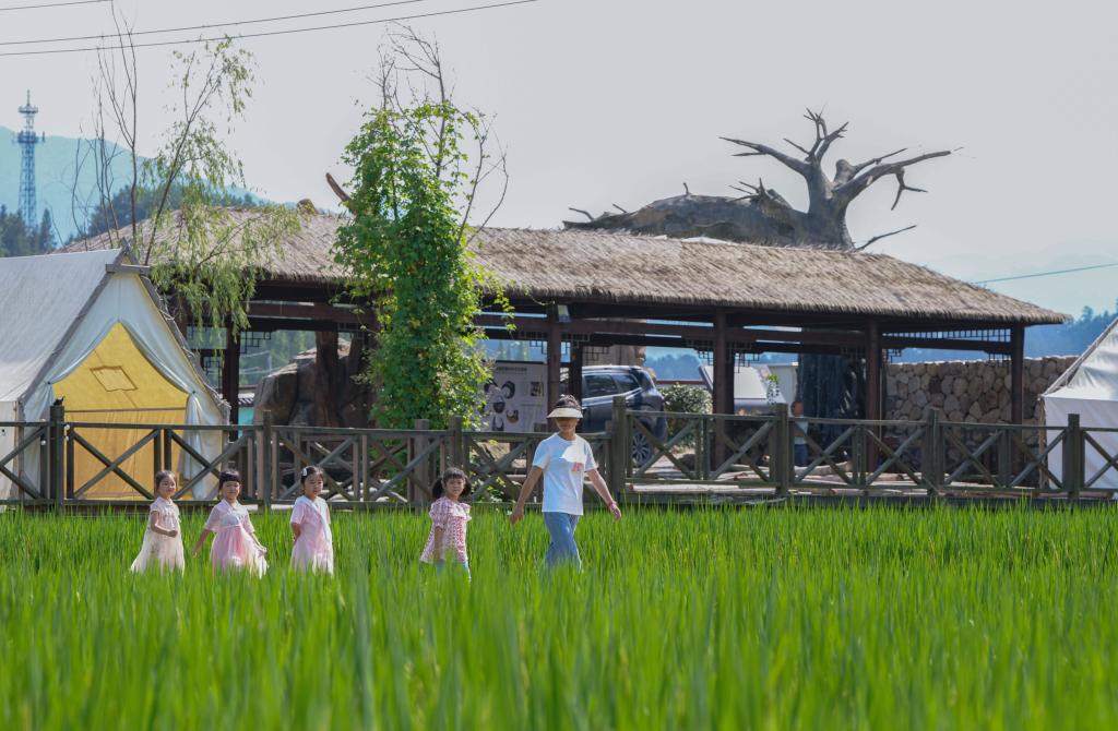 浙江臨安：打造村落景區助力國家級農業產業強鎮創建