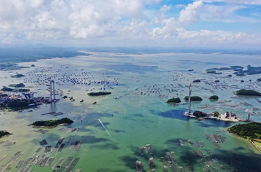 碧海藍灣涌“金浪”——廣西向海經濟之平陸運河