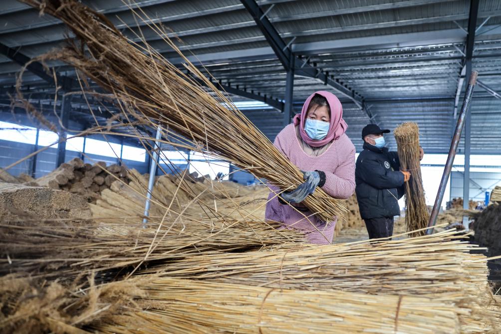 山東：葦簾加工編織富民產業