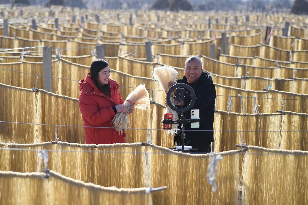 河北遷安：冬閑粉條加工助增收