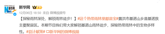 探秘雨林深處，解鎖雨林徒步！