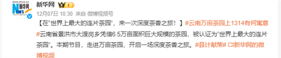 在“世界上最大的連片茶園”，來一次深度茶香之旅！