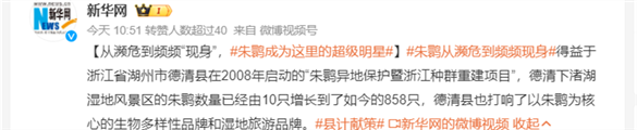 從瀕危到頻頻“現身”，朱鹮成為這里的超級明星