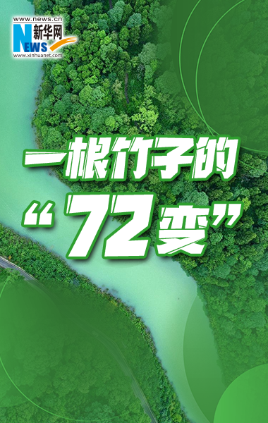 一根竹子的“72變”