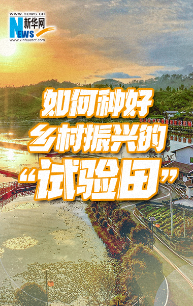 如何種好鄉村振興的“試驗田”