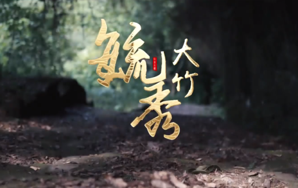 這一次，不得不去大竹了