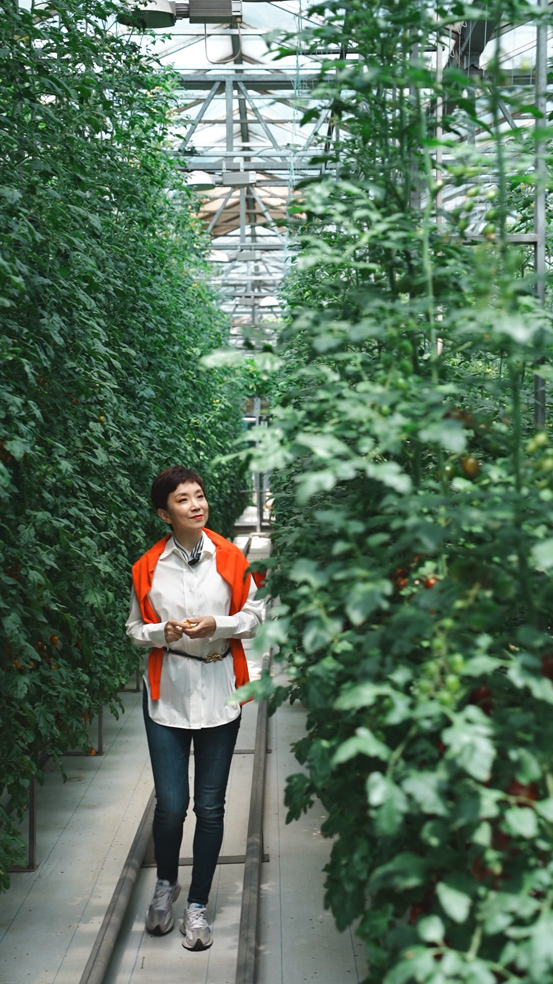 此菜非彼菜，哪個是你的“菜”？