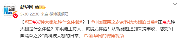 在壽光種大棚是種什么體驗