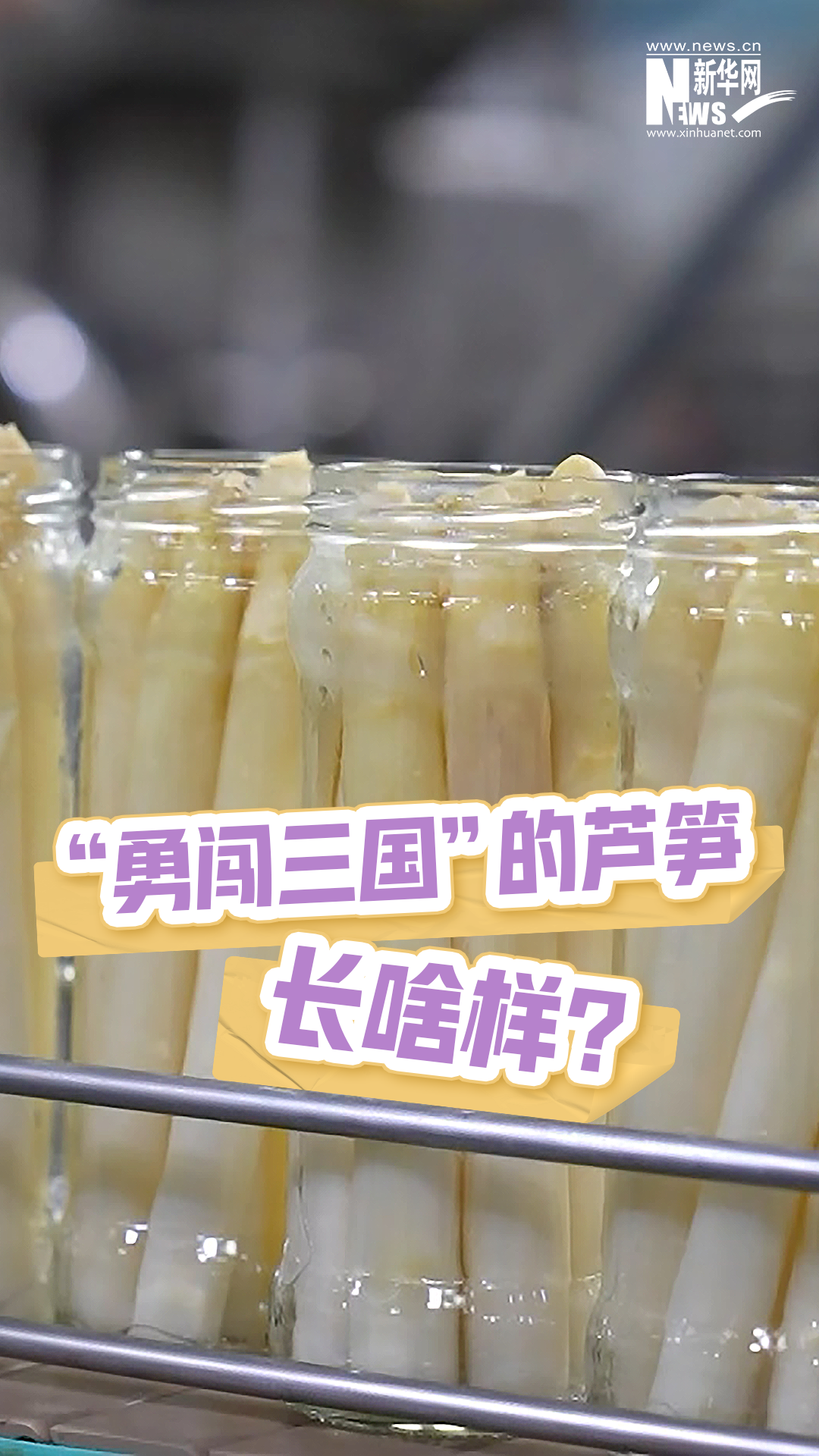 “勇闖三國”的蘆筍長啥樣？