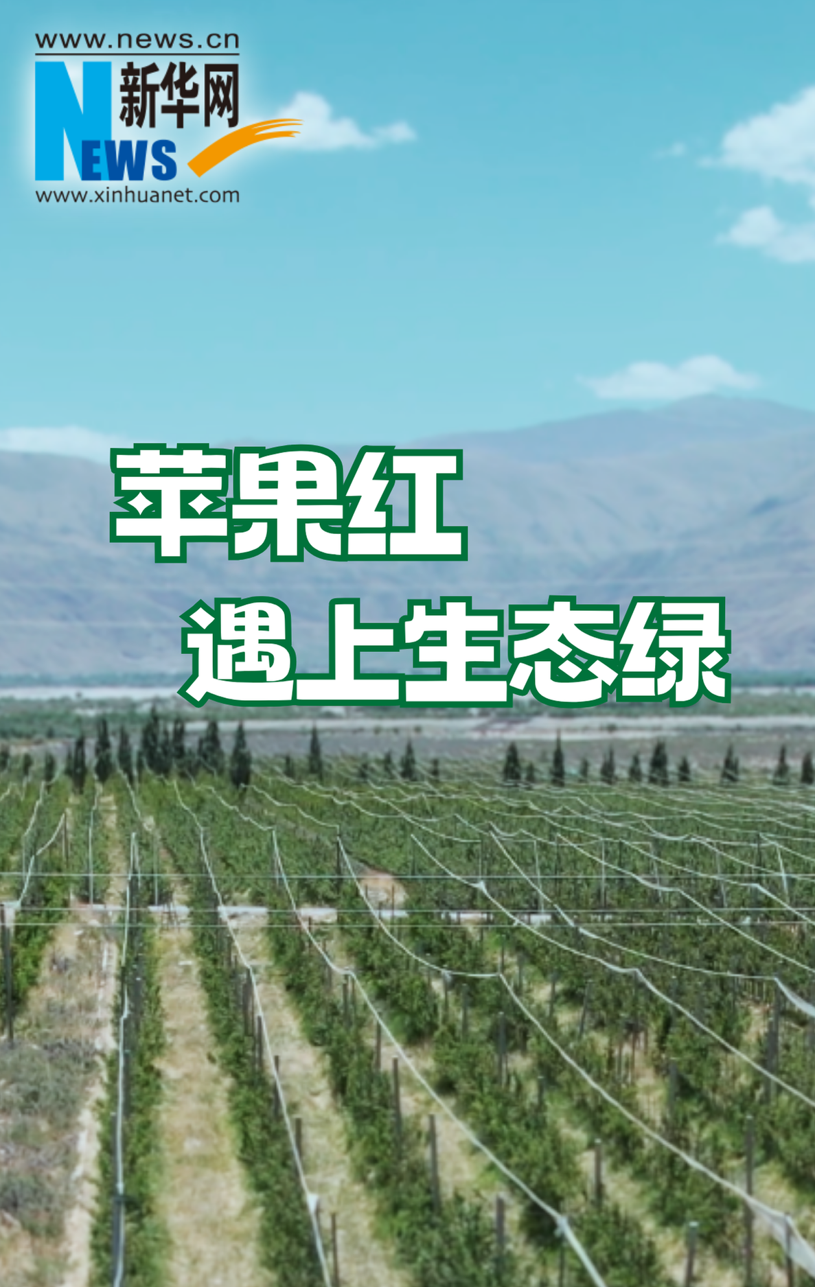 蘋果紅遇上生態綠