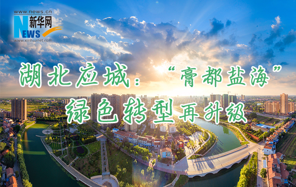 縣·觀察丨湖北應城：“膏都鹽?！本G色轉型再升級