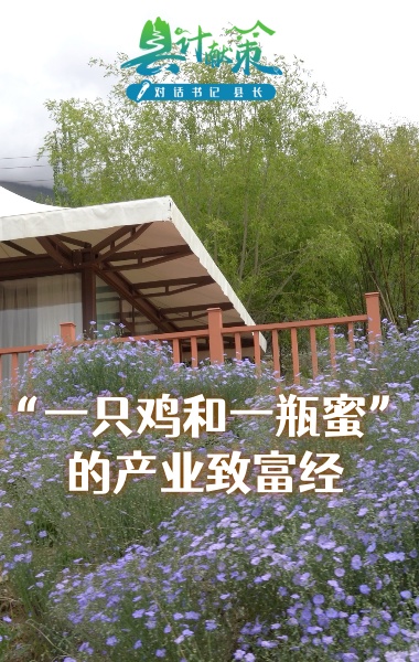 “一只雞和一瓶蜜”的產業致富經
