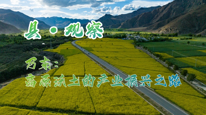 縣·觀察｜乃東：高原沃土的產業振興之路