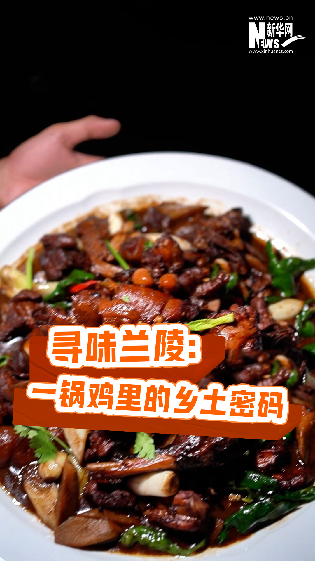 尋味蘭陵：一鍋雞里的鄉土密碼