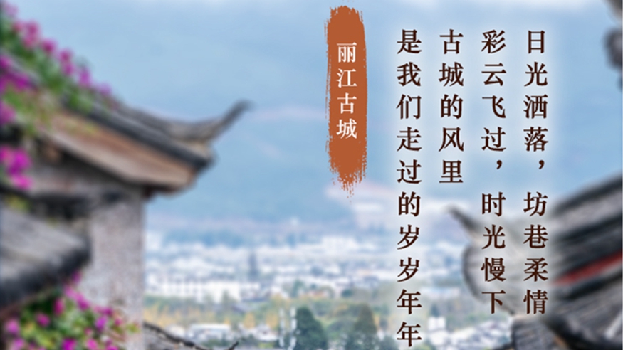 學習進行時丨這些老街舊巷，在時光里綻放芳華