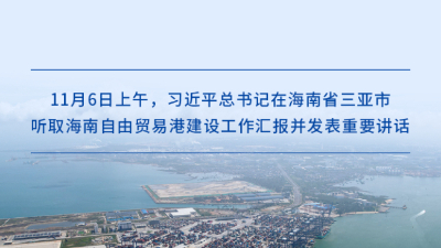 高標準建設海南自貿港，習近平總書記提出明確要求
