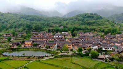 學習進行時丨習近平總書記關心推動老區發展振興的故事