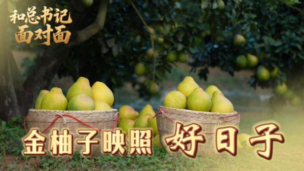 和總書記面對面丨金柚子映照好日子
