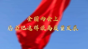 兩會上，總書記這樣談高質量發展
