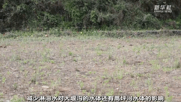 曾經被“遺棄”的它們 搬到新家啦！