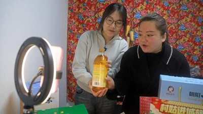 王穎：做 “有情懷，會妙招，富鄉親”新時代返鄉新農人