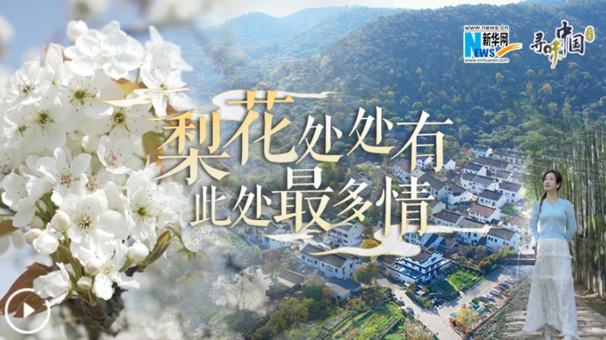 梨花處處有，此處最多情