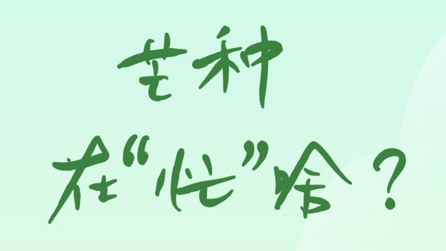 芒種在“忙”啥？
