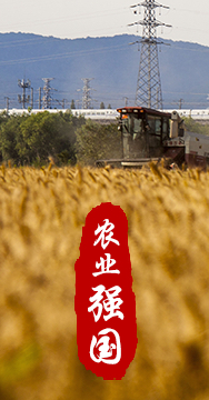 農業強國是社會主義現代化強國的根基。
