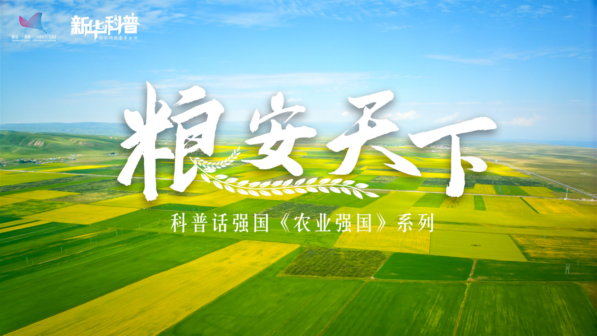 新華科普丨科普話強國農業強國系列《糧安天下》
