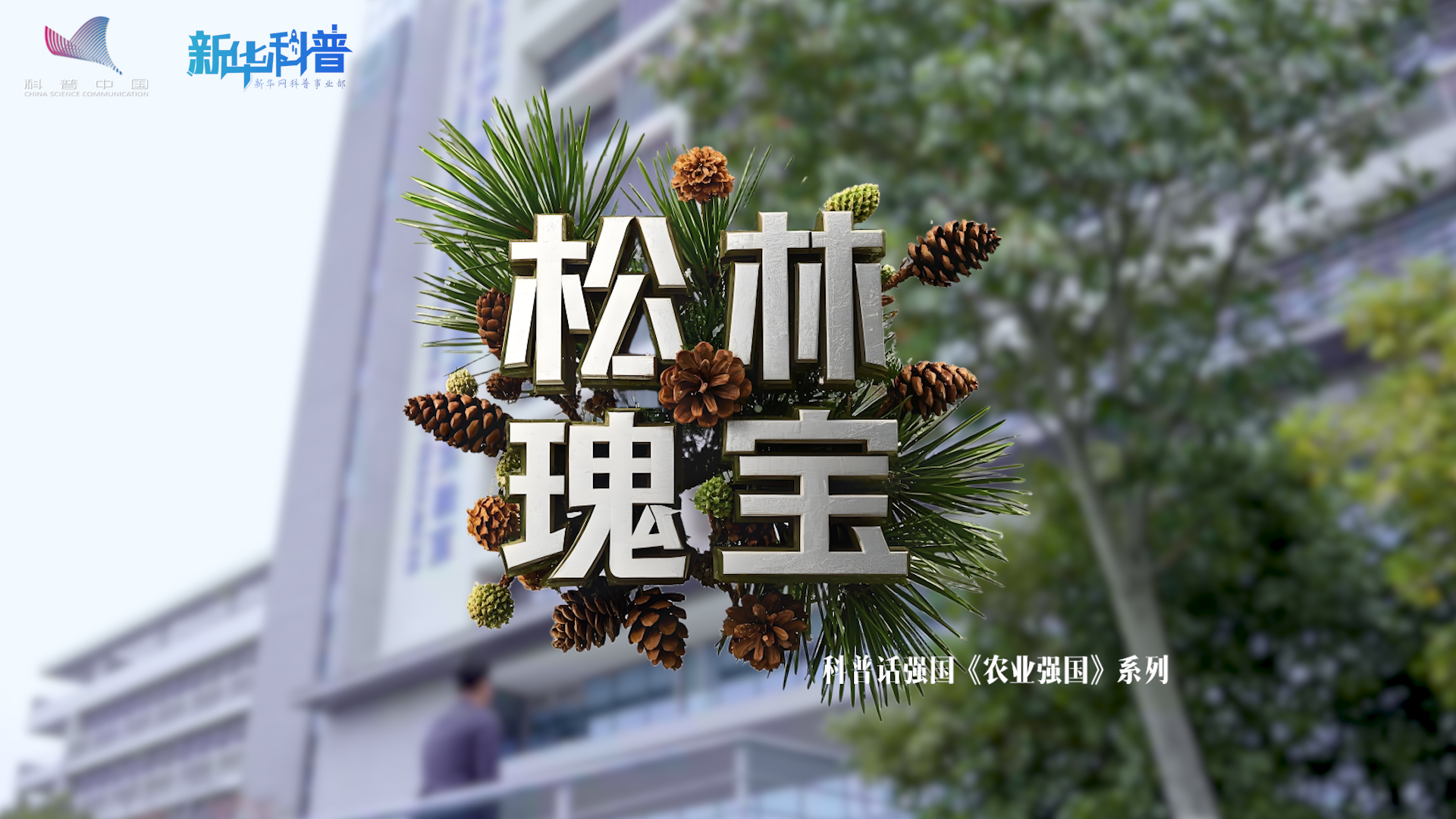 新華科普丨科普話強國農業強國系列《松林瑰寶》