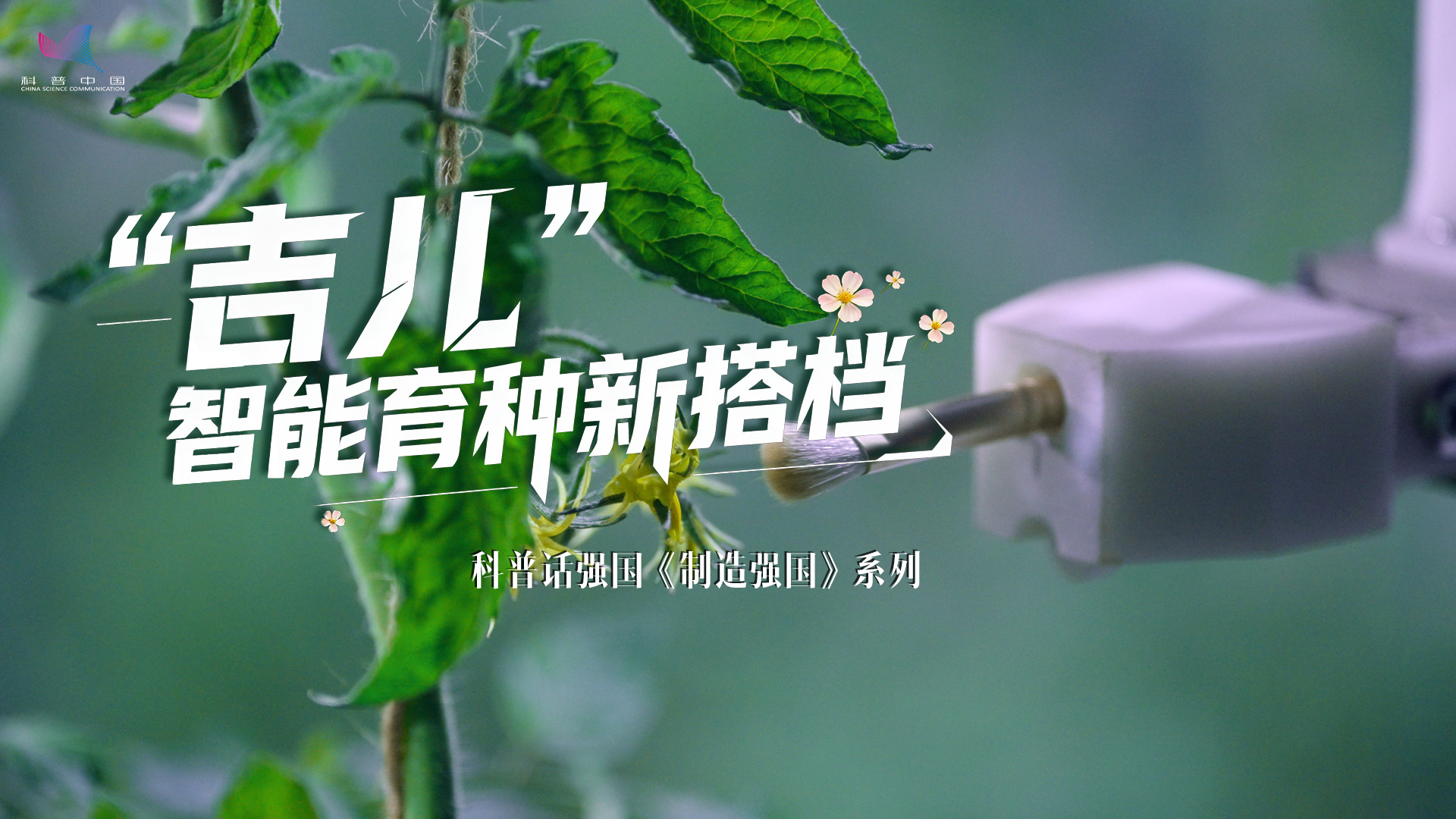 科普話強國丨“吉兒” 智能育種新搭檔