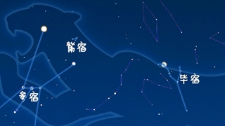 虎年來了，抬頭尋找天上的“白虎”